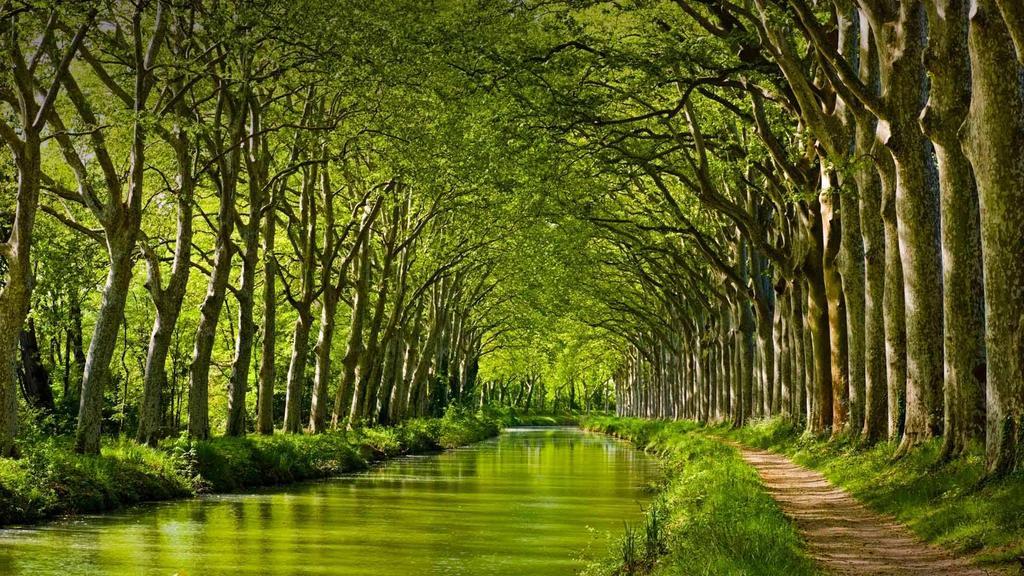 Gite La Chartreuse Du Canal Du Midi Toulouse Dış mekan fotoğraf